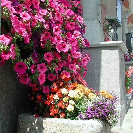 Hotel Sammer Neufelden Extérieur photo