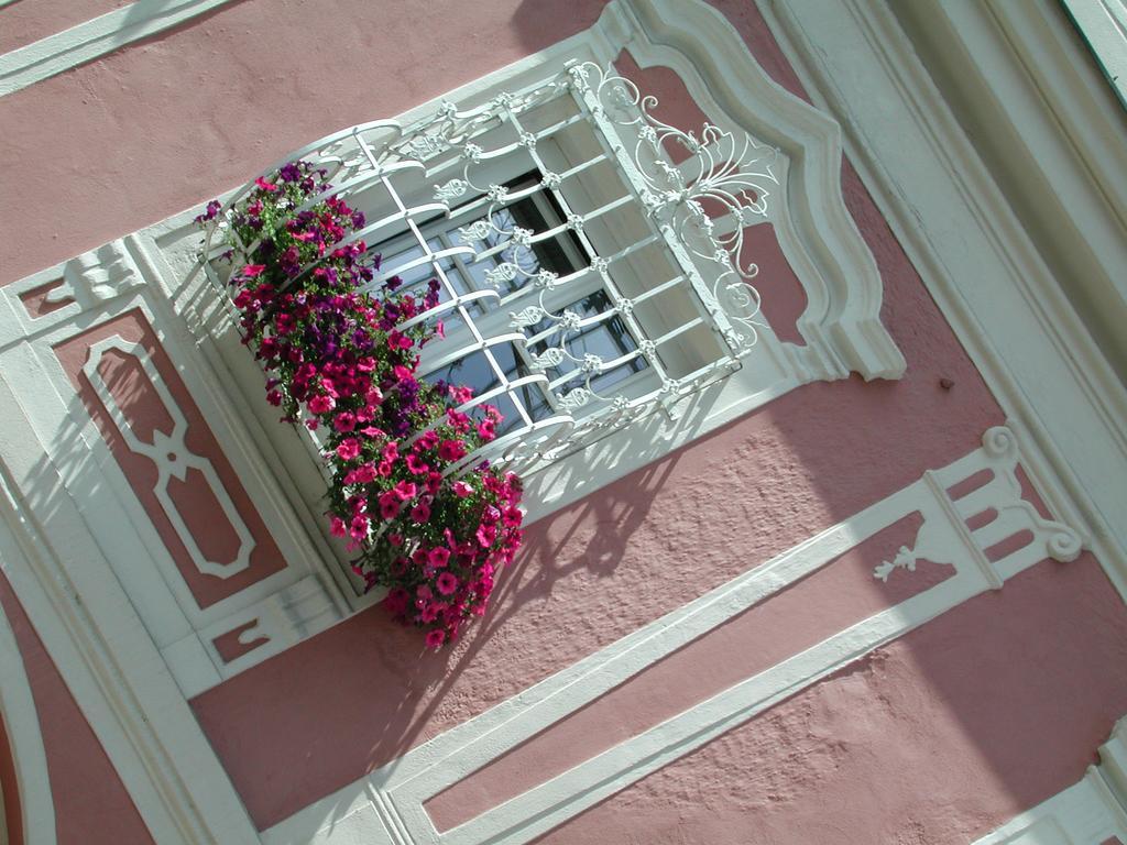 Hotel Sammer Neufelden Extérieur photo